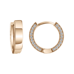 Earrings with zirconia 