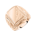 Herrenring 