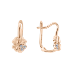 Earrings with zirconia 