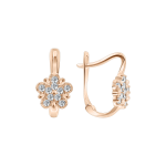 Earrings with zirconia 