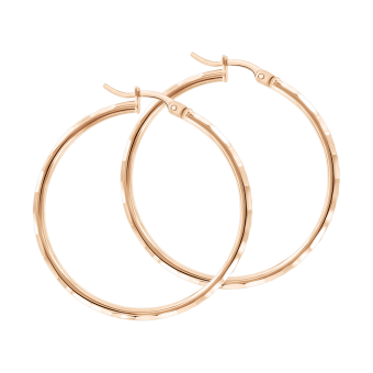 Hoop earrings 