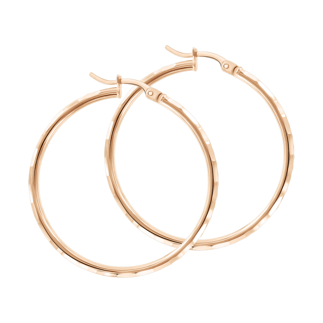 Hoop earrings 