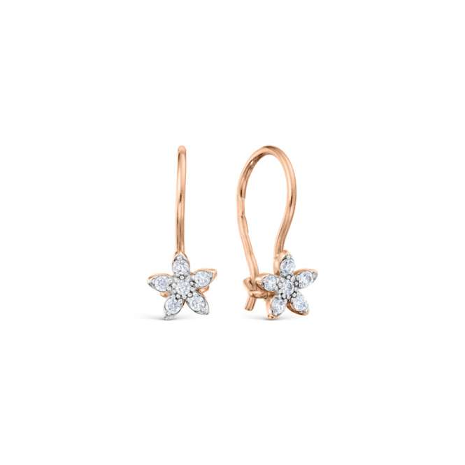 Earrings with zirconia 