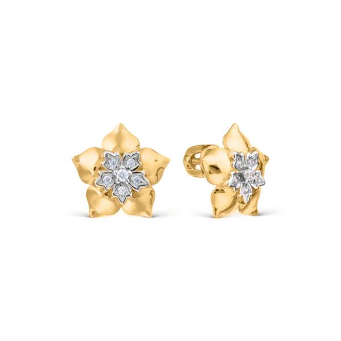 Earrings with zirconia 