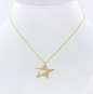 Yellow gold chain with pendant star 