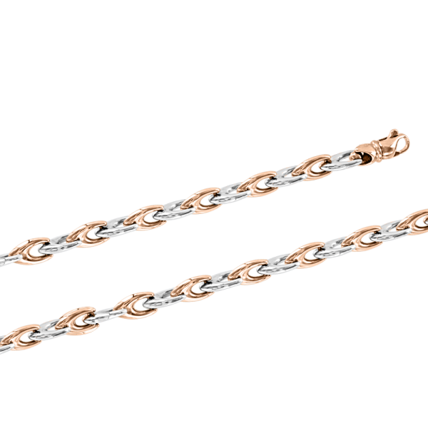 15656_19-cm 15656_19-cm