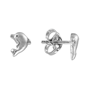 Ohrstecker Silber