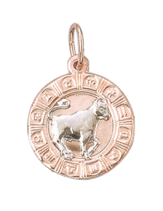 Anhänger Sternzeichen Stier