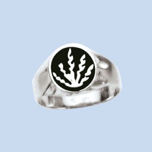 Herrenring